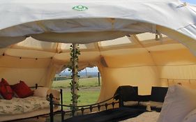 Tal-Y-Fan Farm 6M Stargazer Tent